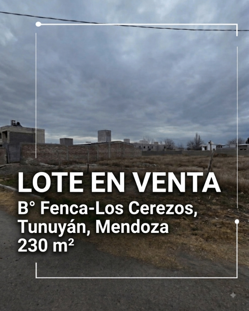 Terreno / Lote en venta de 230m2 ubicado en Tunuyán - foto 1