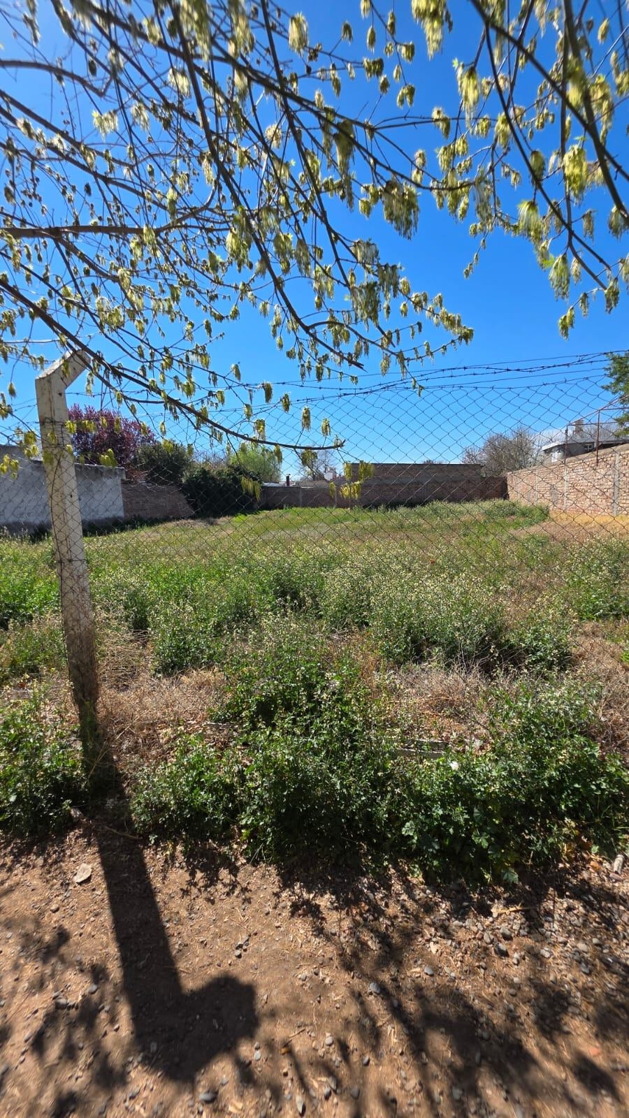 Terreno / Lote en venta de 803.5m2 ubicado en Tunuyán - foto 5