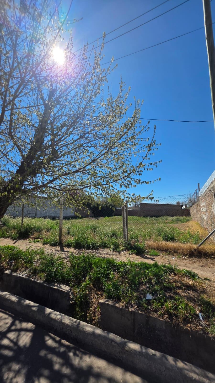 Terreno / Lote en venta de 803.5m2 ubicado en Tunuyán - foto 4