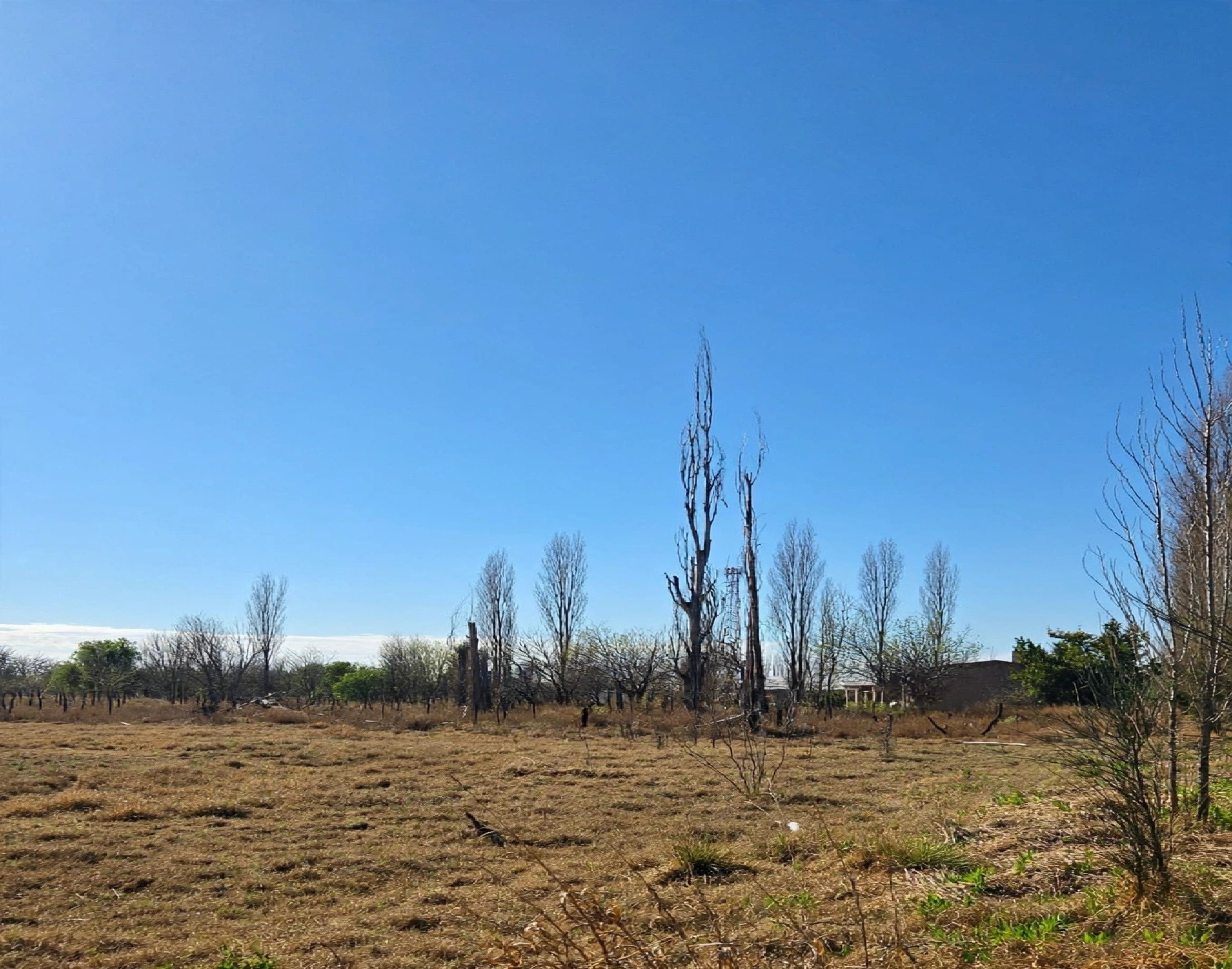 Terreno / Lote en venta de 7300m2 ubicado en Las Paredes - foto 5