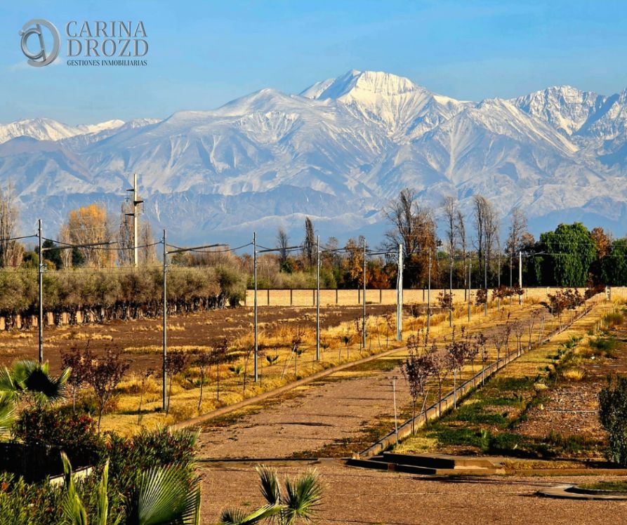Terreno / Lote en venta de 500m2 ubicado en Cruz de Piedra - foto 4