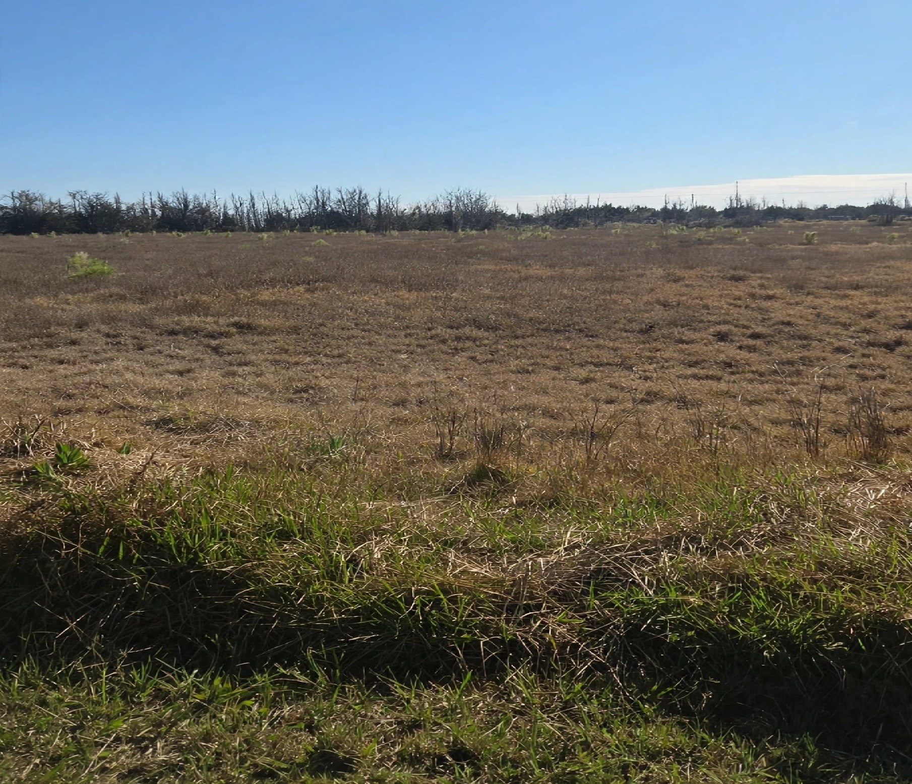 Terreno / Lote en venta de 7300m2 ubicado en Las Paredes - foto 4