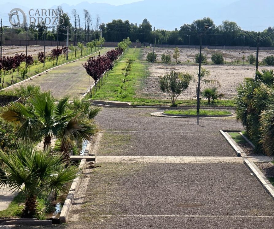 Terreno / Lote en venta de 500m2 ubicado en Cruz de Piedra - foto 3