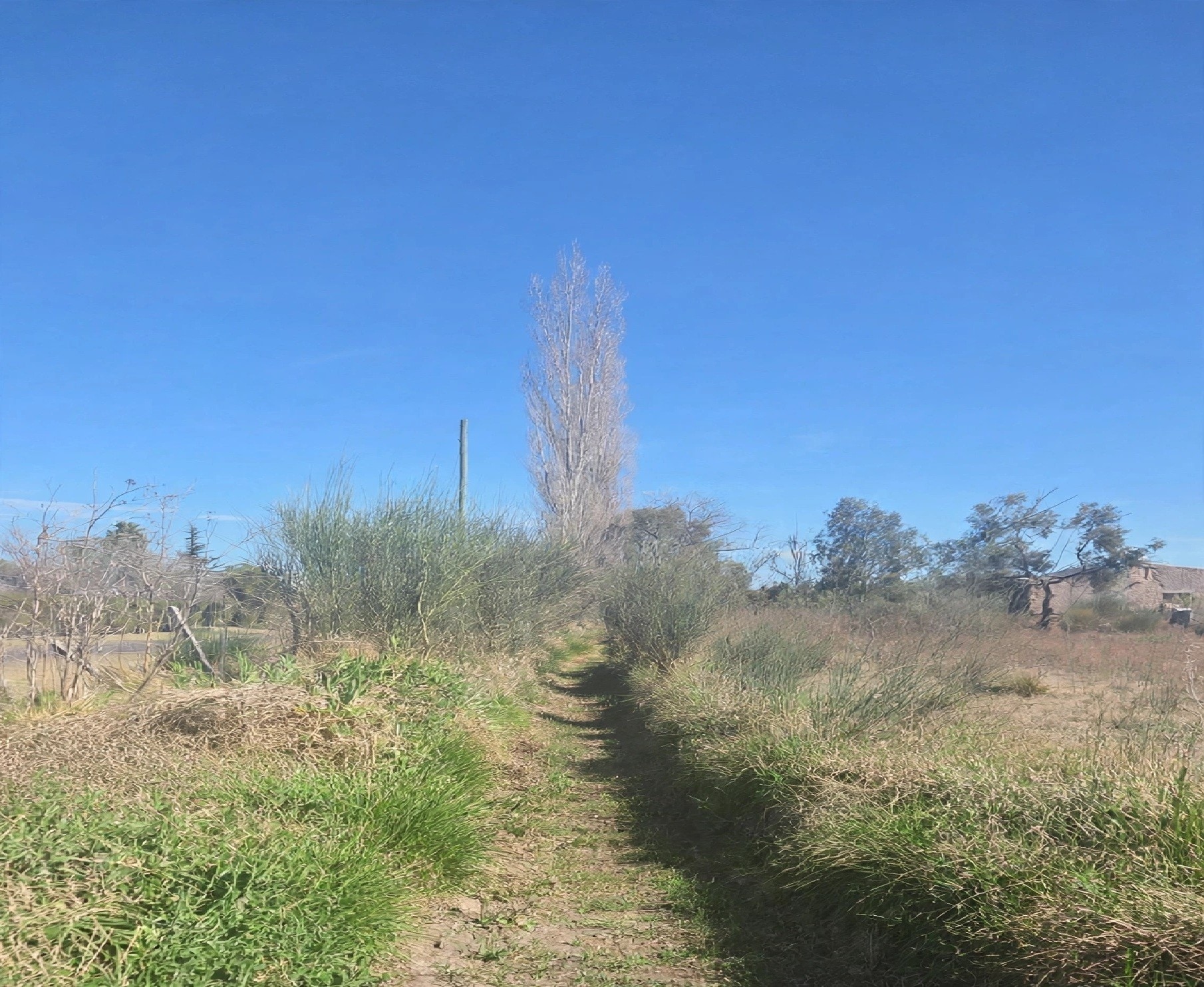 Terreno / Lote en venta de 7300m2 ubicado en Las Paredes - foto 1