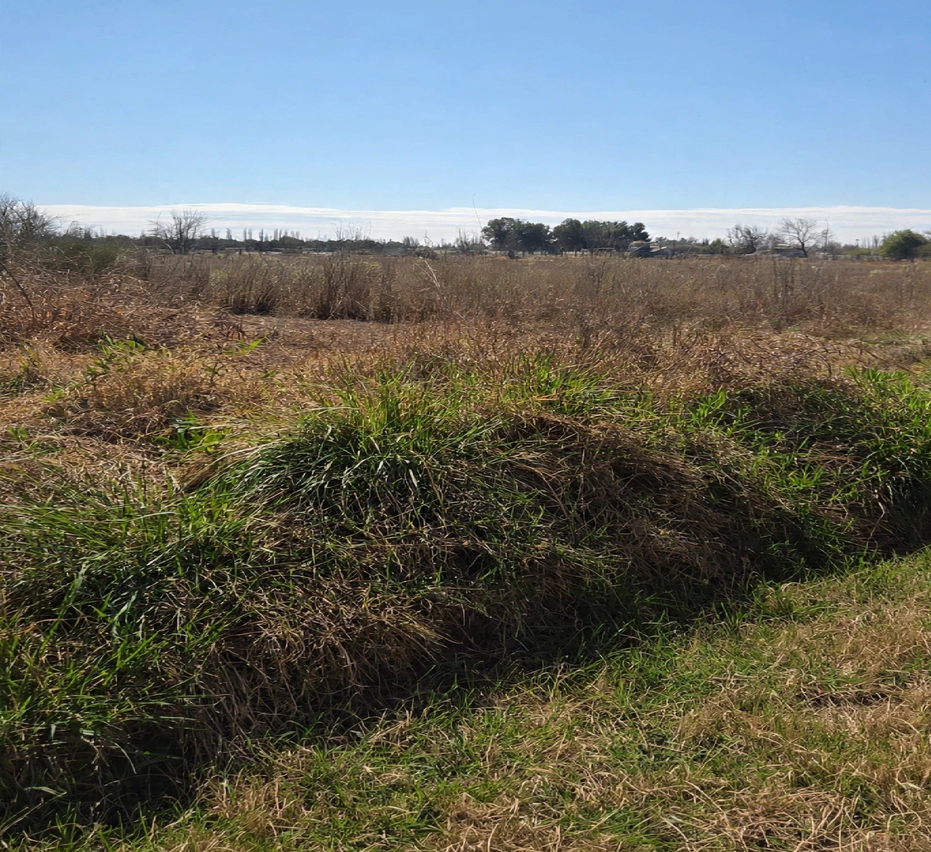 Terreno / Lote en venta de 7300m2 ubicado en Las Paredes - foto 2