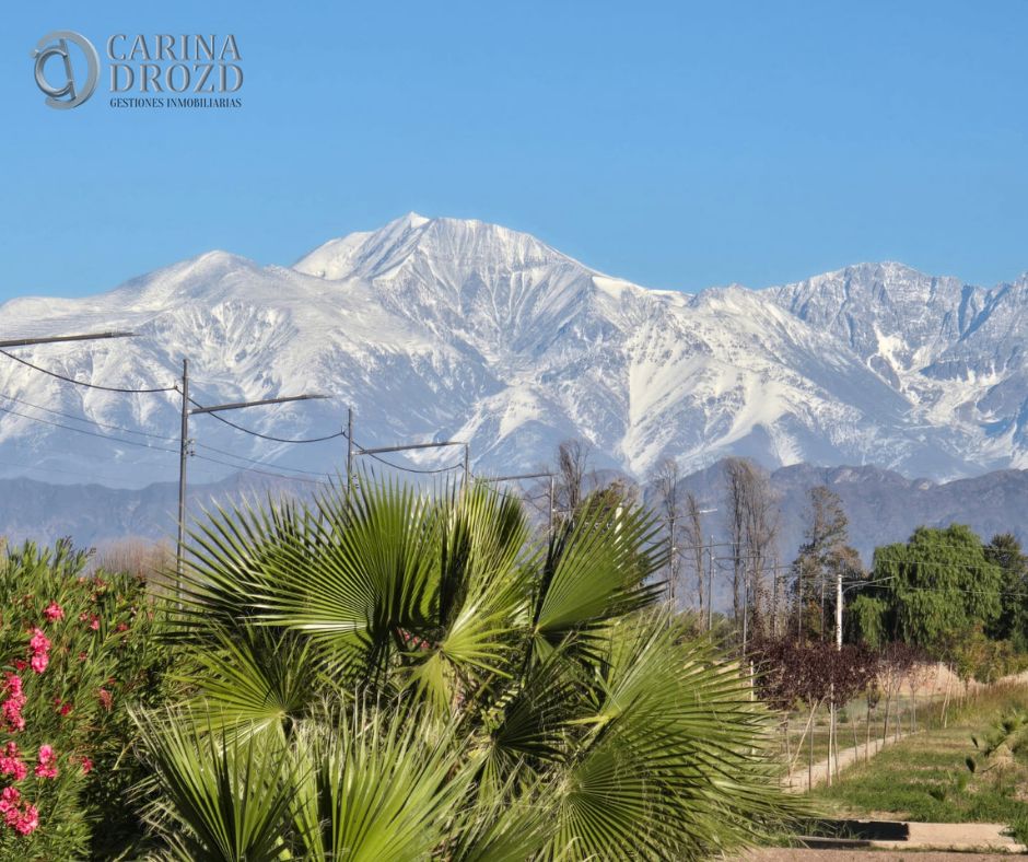 Terreno / Lote en venta de 500m2 ubicado en Cruz de Piedra - foto 5