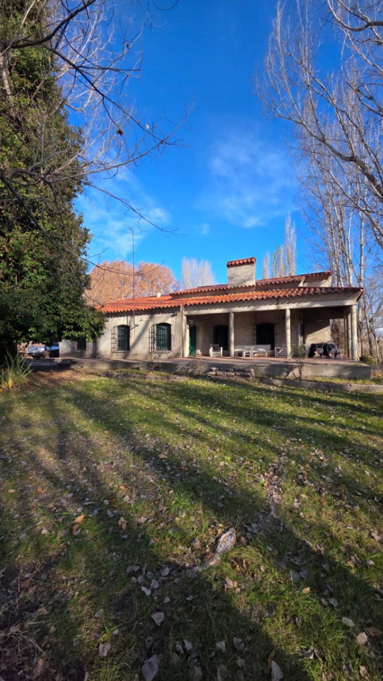 Finca de 94,82 ha en venta en Tunuyán - foto 3