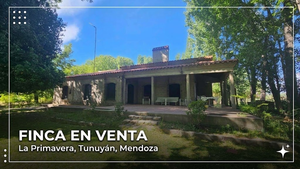 Finca de 94,82 ha en venta en Tunuyán - foto 1