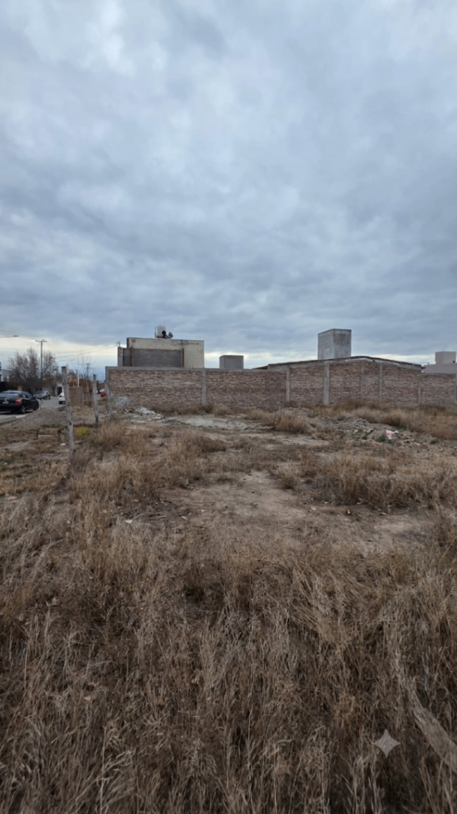 Terreno / Lote en venta de 382.42m2 ubicado en Tunuyán - foto 4