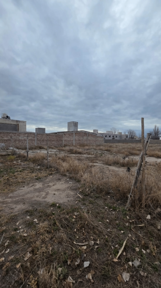 Terreno / Lote en venta de 382.42m2 ubicado en Tunuyán - foto 2