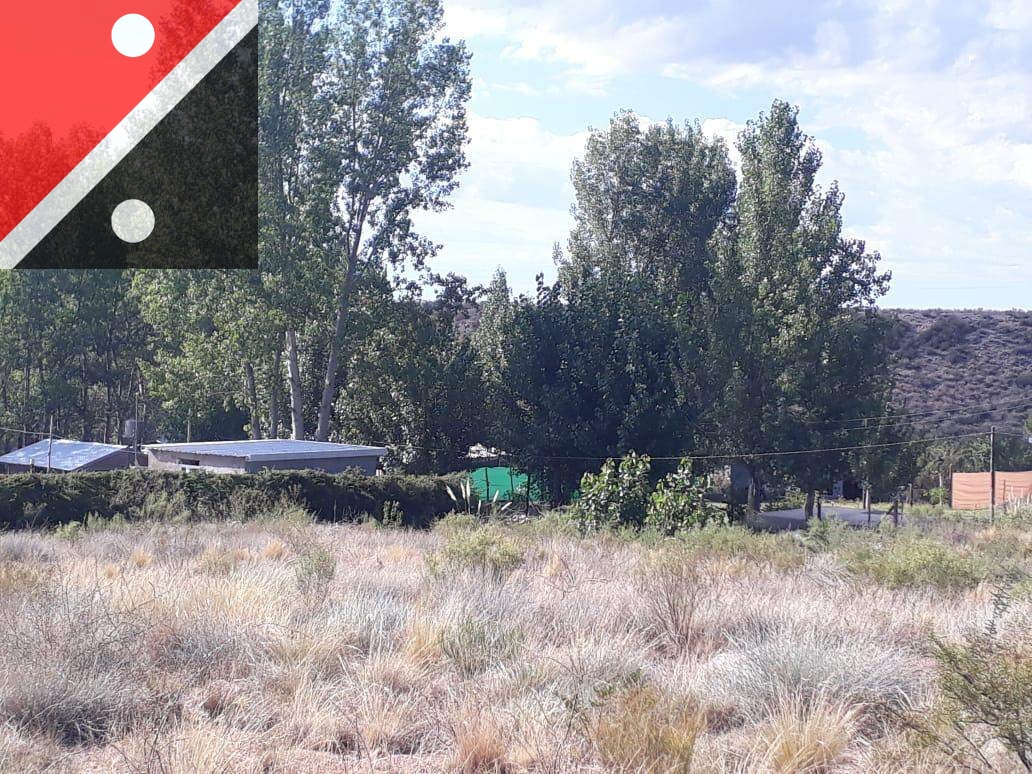 Terreno / Lotes en venta desde 1393.55m2 ubicado en Las Compuertas - foto 5