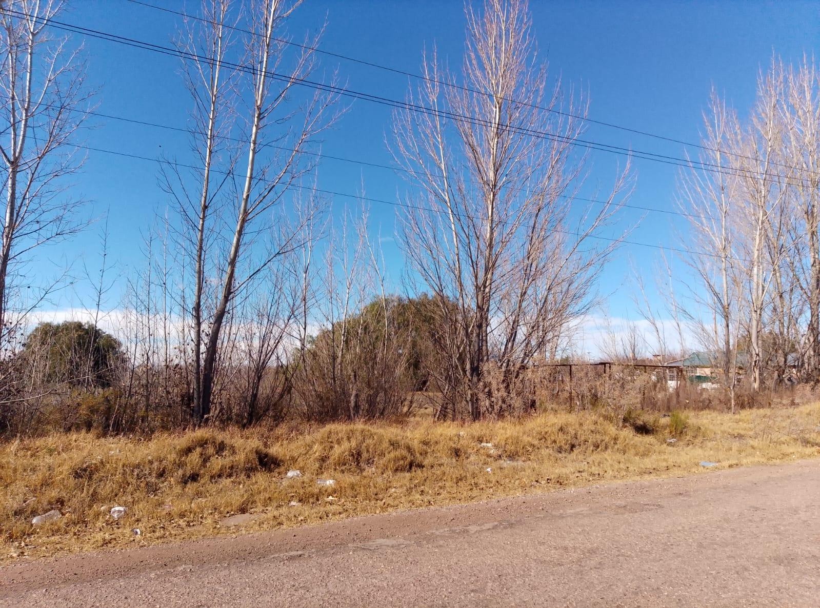 Terreno / Lote en venta de 29.910m San Rafael ( Bolivar y Av Alberdi) - foto 3