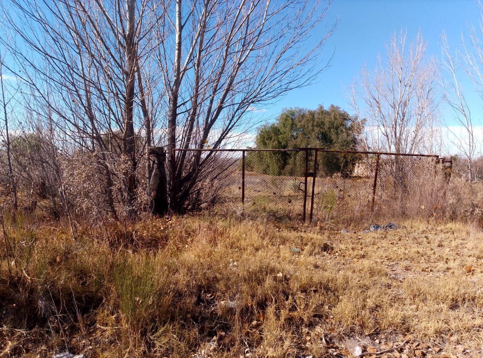Terreno / Lote en venta de 29.910m San Rafael ( Bolivar y Av Alberdi) - foto 1