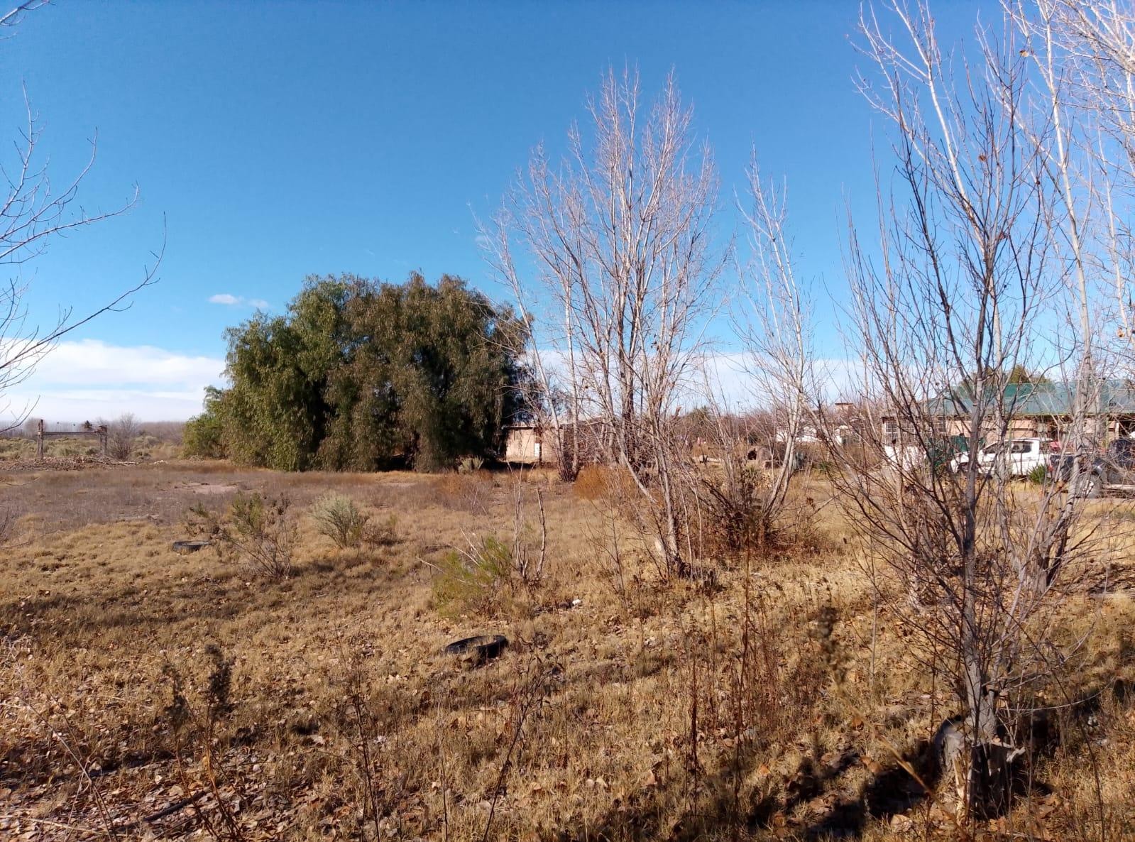 Terreno / Lote en venta de 29.910m San Rafael ( Bolivar y Av Alberdi) - foto 4
