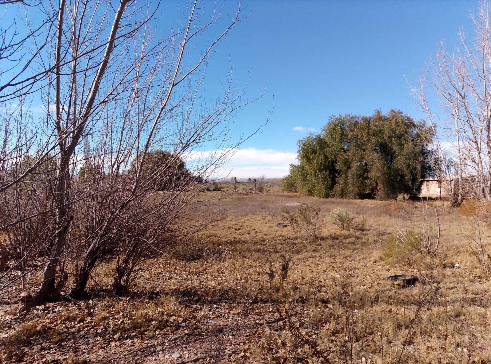 Terreno / Lote en venta de 29.910m San Rafael ( Bolivar y Av Alberdi) - foto 2