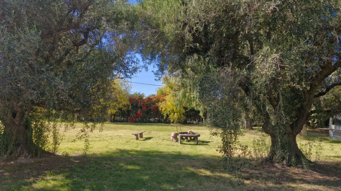 Casa quinta en venta 4500m2 sobre Cubillos, camino a Valle Grande, San Rafael - foto 2