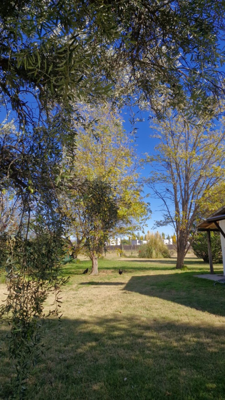 Casa quinta en venta 4500m2 sobre Cubillos, camino a Valle Grande, San Rafael - foto 3