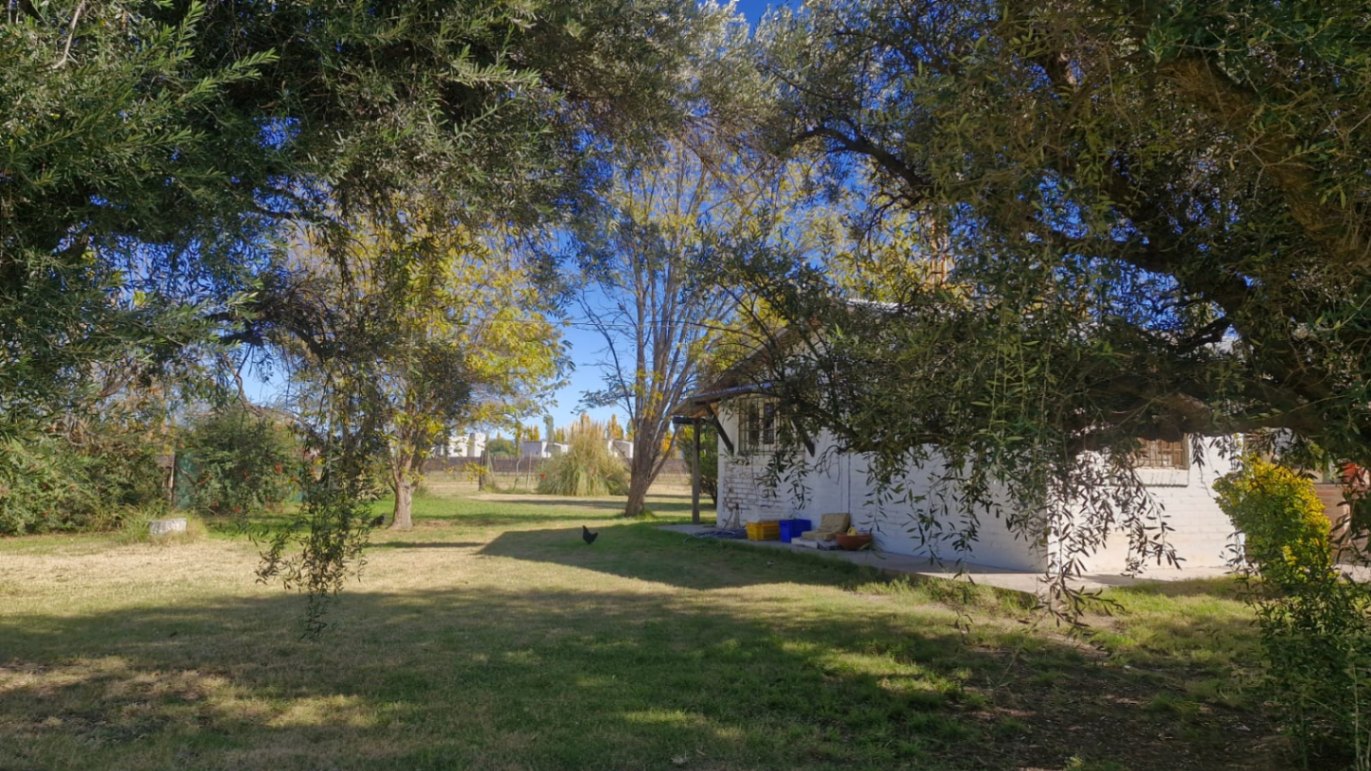 Casa quinta en venta 4500m2 sobre Cubillos, camino a Valle Grande, San Rafael - foto 4