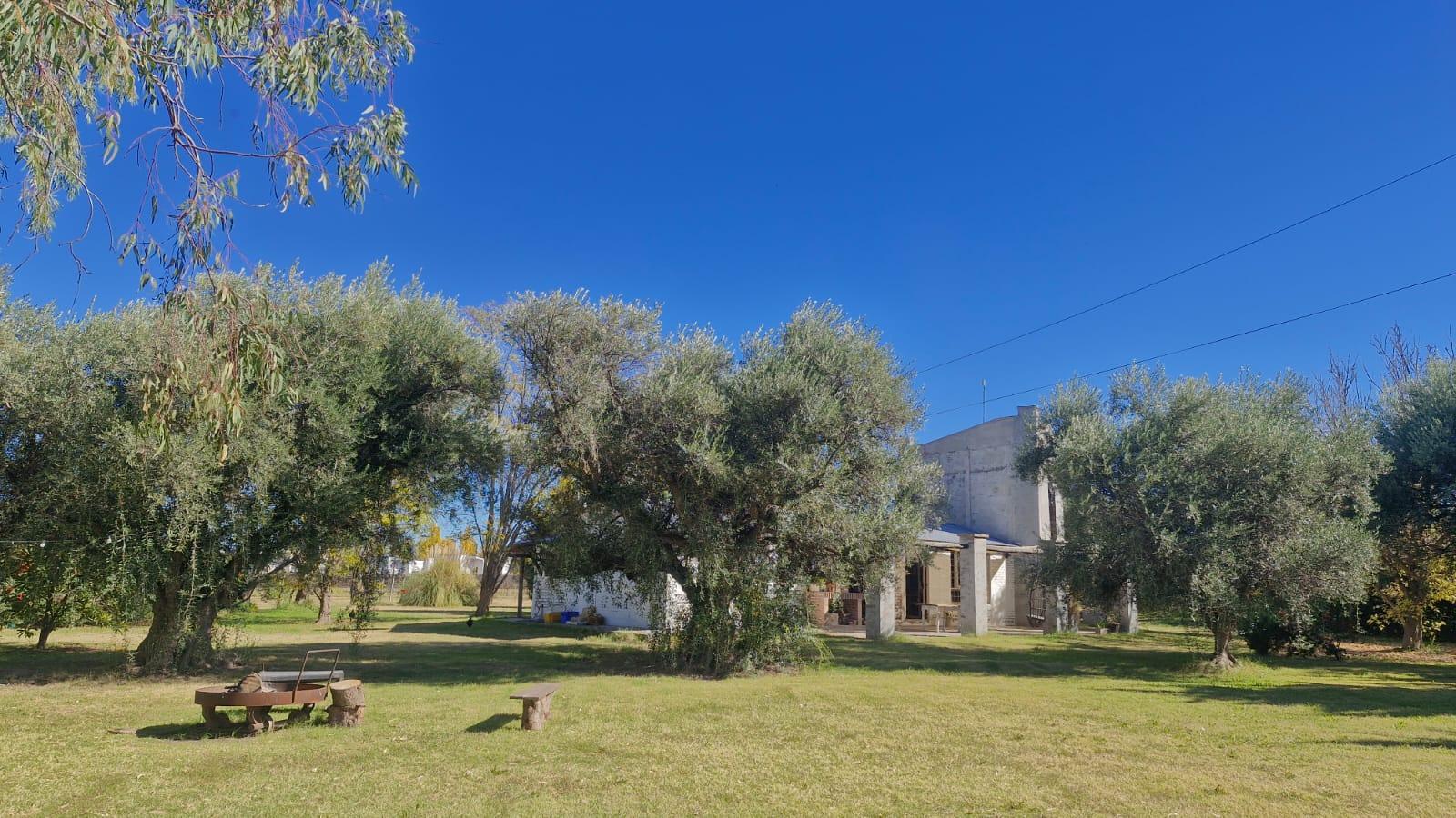 Casa quinta en venta 4500m2 sobre Cubillos, camino a Valle Grande, San Rafael - foto 5