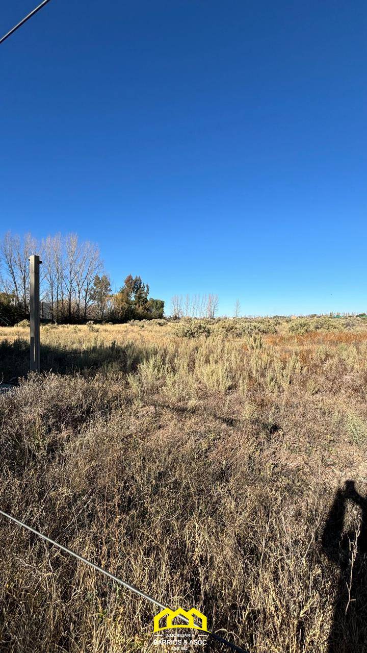 Terreno / Lote en venta de 10500m2 ubicado en San Rafael - foto 5