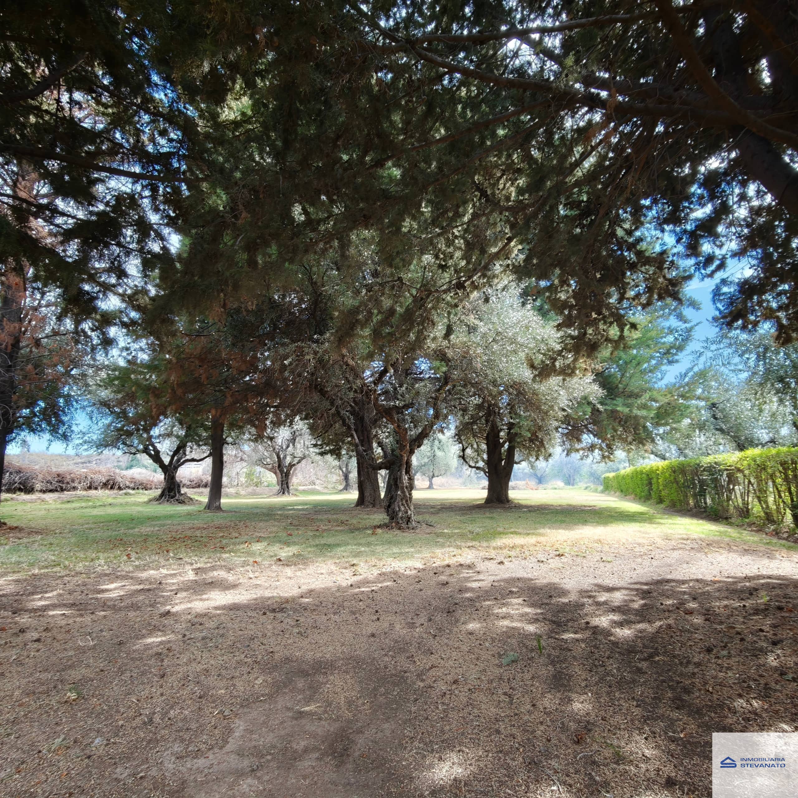 Casa en venta de 3 dormitorios c/ cochera en Lunlunta - foto 2
