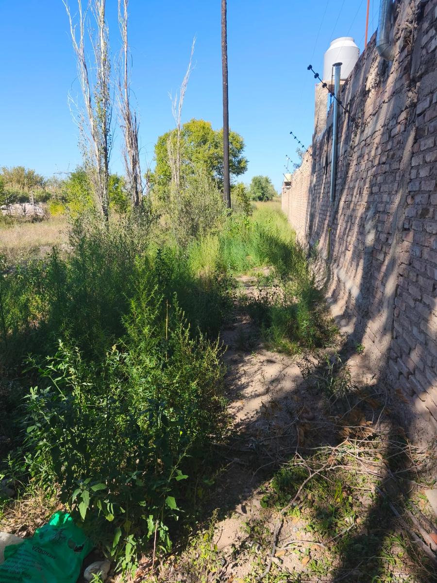 VENTA DE LOTE EXTENSO EN CALLE TROPERO SOSA, COQUIMBITO- MAIPÚ - foto 2