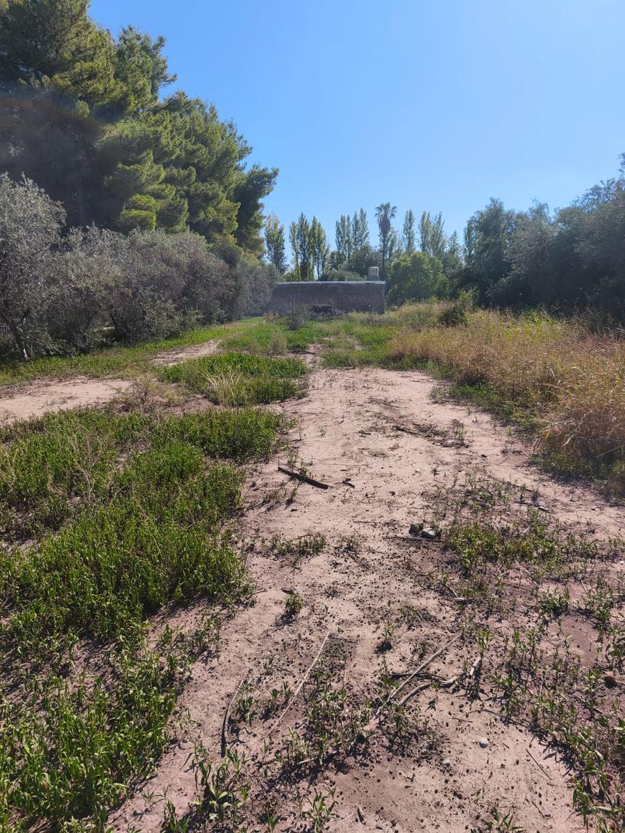 VENTA DE LOTE EXTENSO EN CALLE TROPERO SOSA, COQUIMBITO- MAIPÚ - foto 1
