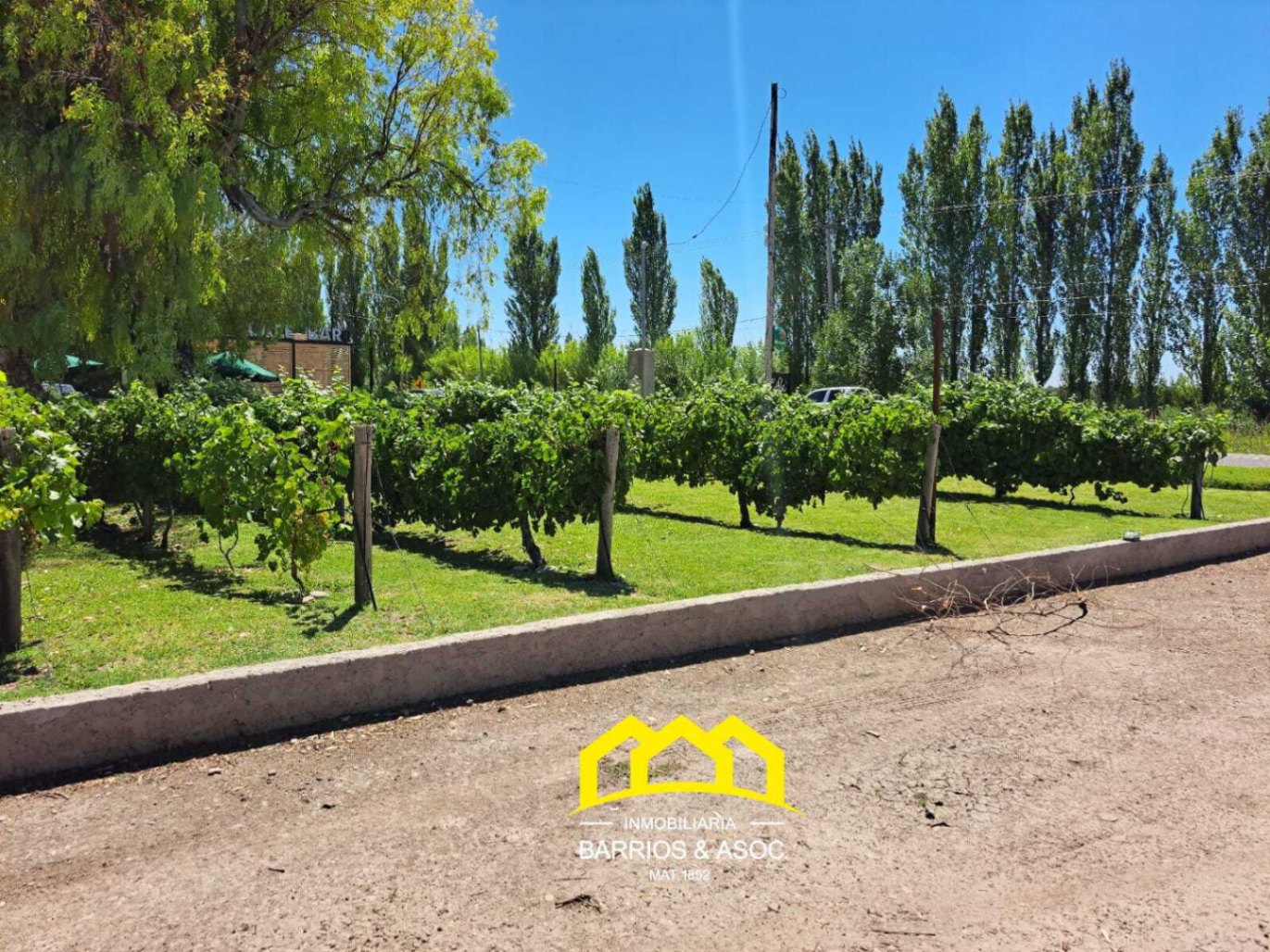 Terreno / Lote en venta de 2500m2 ubicado en San Rafael - foto 1