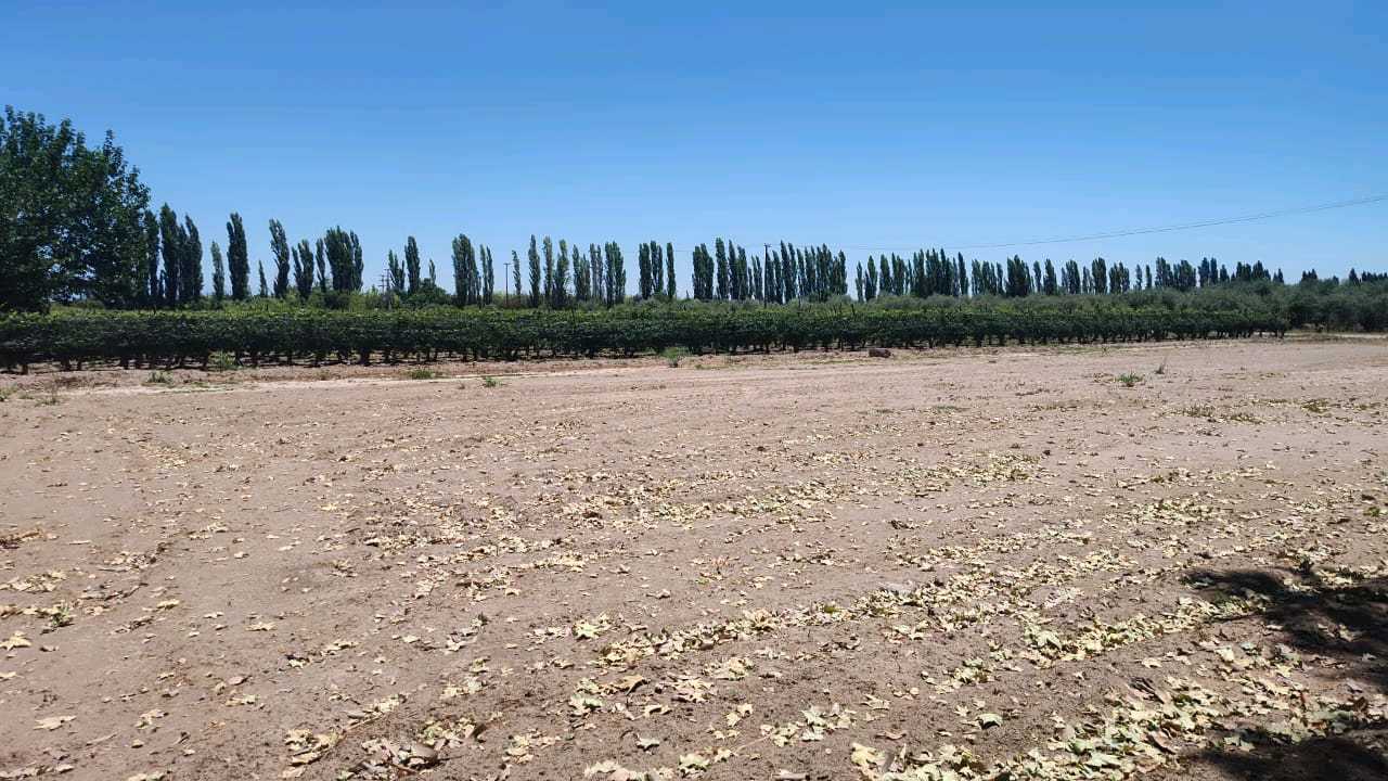 VENTA TERRENO EXCEPCIONAL SOBRE CALLE MARTINEZ Y NUEVA AUTOPISTA-JUNIN - foto 1