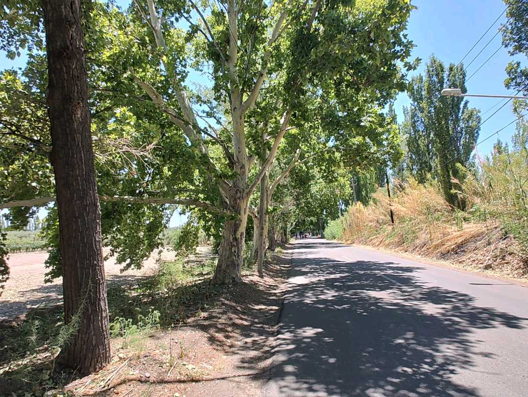 VENTA TERRENO EXCEPCIONAL SOBRE CALLE MARTINEZ Y NUEVA AUTOPISTA-JUNIN - foto 2