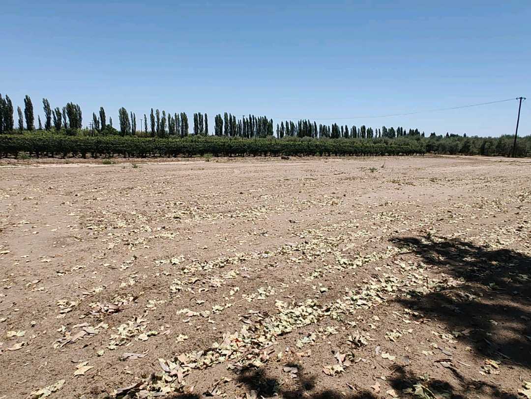 VENTA TERRENO EXCEPCIONAL SOBRE CALLE MARTINEZ Y NUEVA AUTOPISTA-JUNIN - foto 3