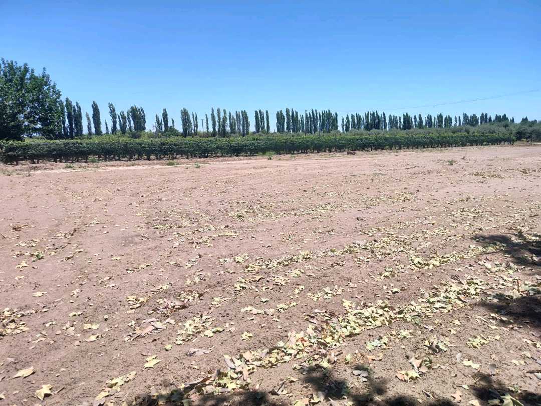VENTA TERRENO EXCEPCIONAL SOBRE CALLE MARTINEZ Y NUEVA AUTOPISTA-JUNIN - foto 4