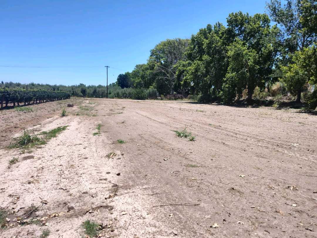VENTA TERRENO EXCEPCIONAL SOBRE CALLE MARTINEZ Y NUEVA AUTOPISTA-JUNIN - foto 5