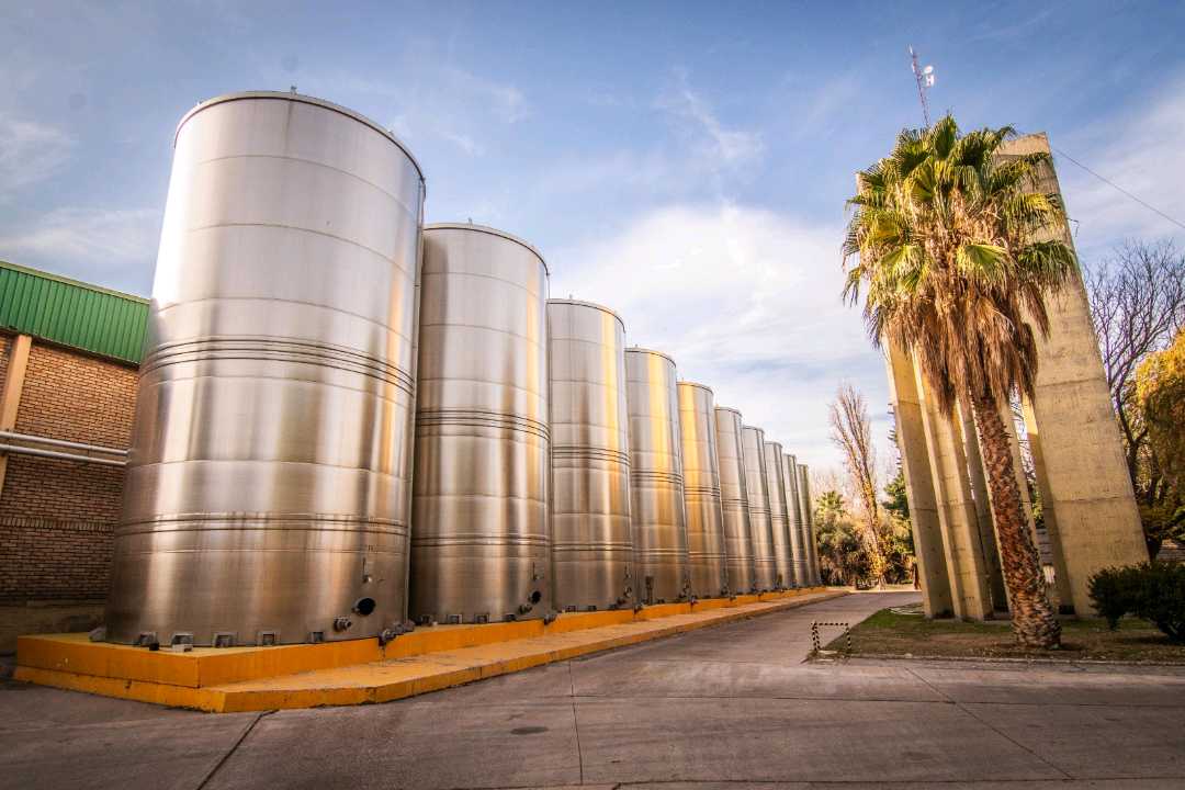 VENTA DE EXCLUSIVA BODEGA EN PRODUCIÓN- SAN MARTIN, MENDOZA - foto 1