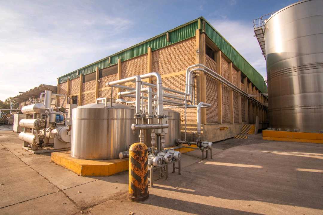 VENTA DE EXCLUSIVA BODEGA EN PRODUCIÓN- SAN MARTIN, MENDOZA - foto 2