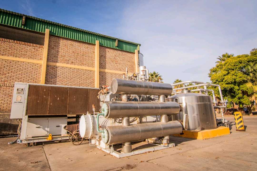 VENTA DE EXCLUSIVA BODEGA EN PRODUCIÓN- SAN MARTIN, MENDOZA - foto 4