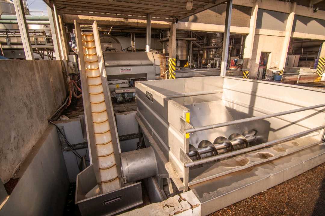 VENTA DE EXCLUSIVA BODEGA EN PRODUCIÓN- SAN MARTIN, MENDOZA - foto 5