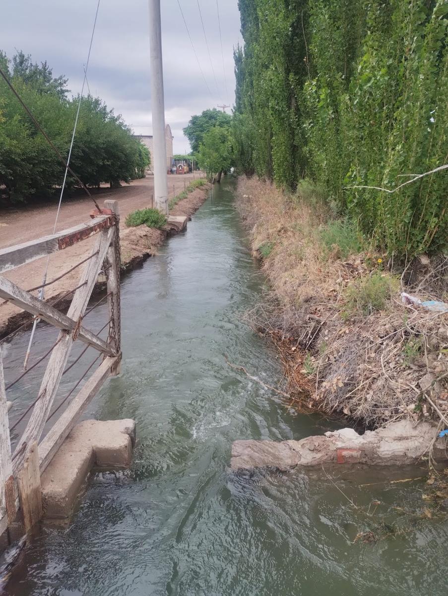 VENTA DE FINCA 36 HAS- LOS OTOYANES, JUNIN - foto 4
