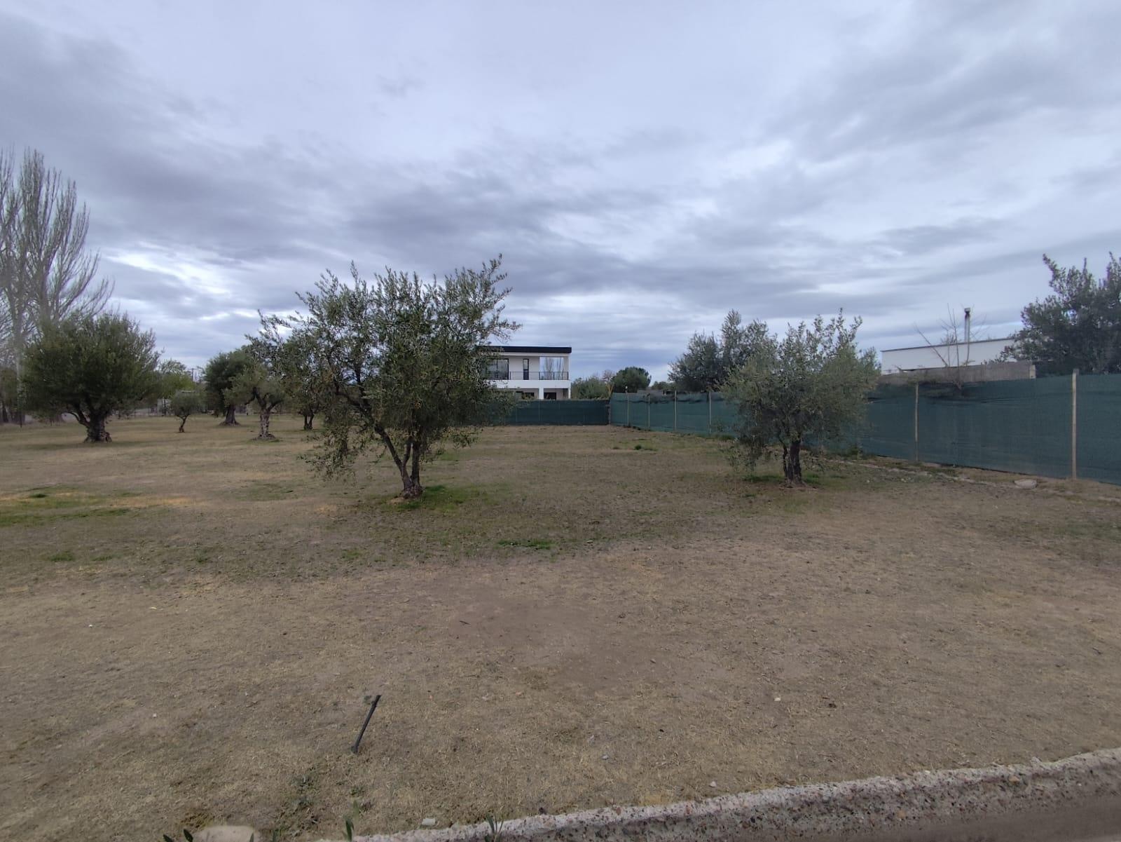 Terreno / Lote en venta de 500m2 ubicado en Lunlunta - foto 3