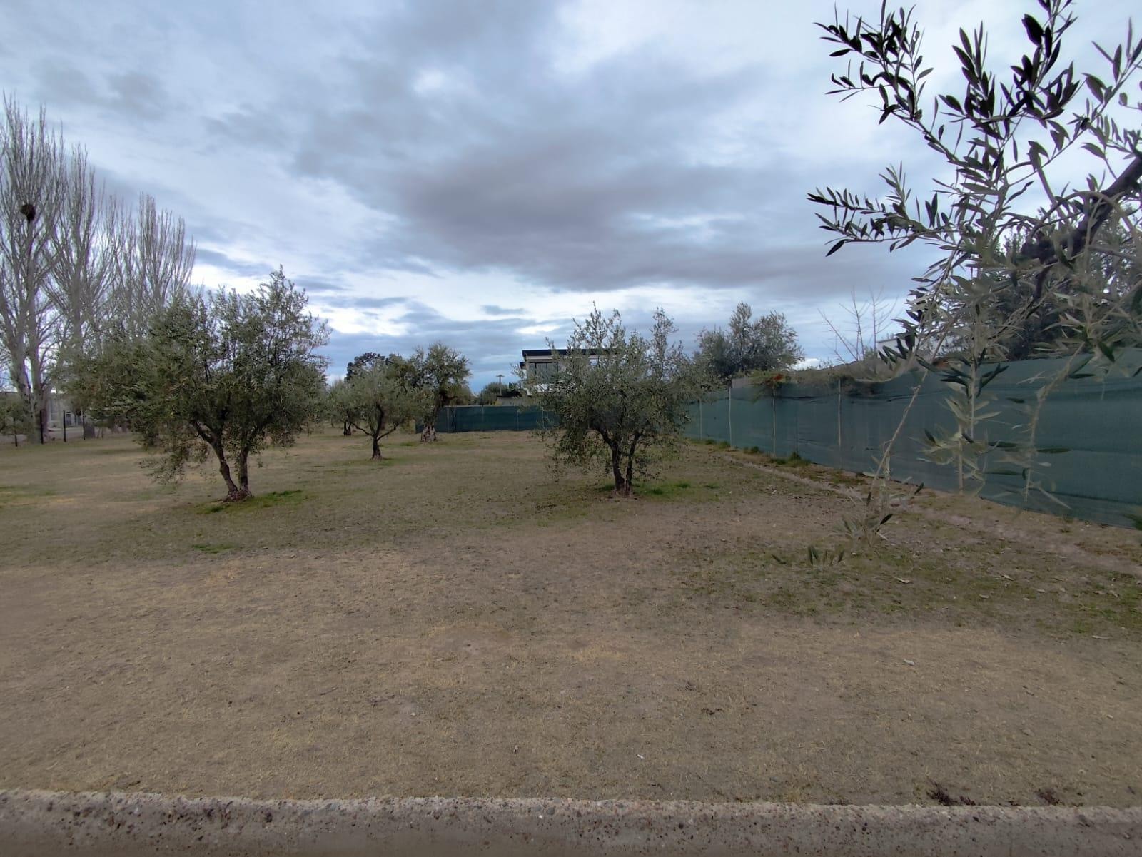 Terreno / Lote en venta de 500m2 ubicado en Lunlunta - foto 4