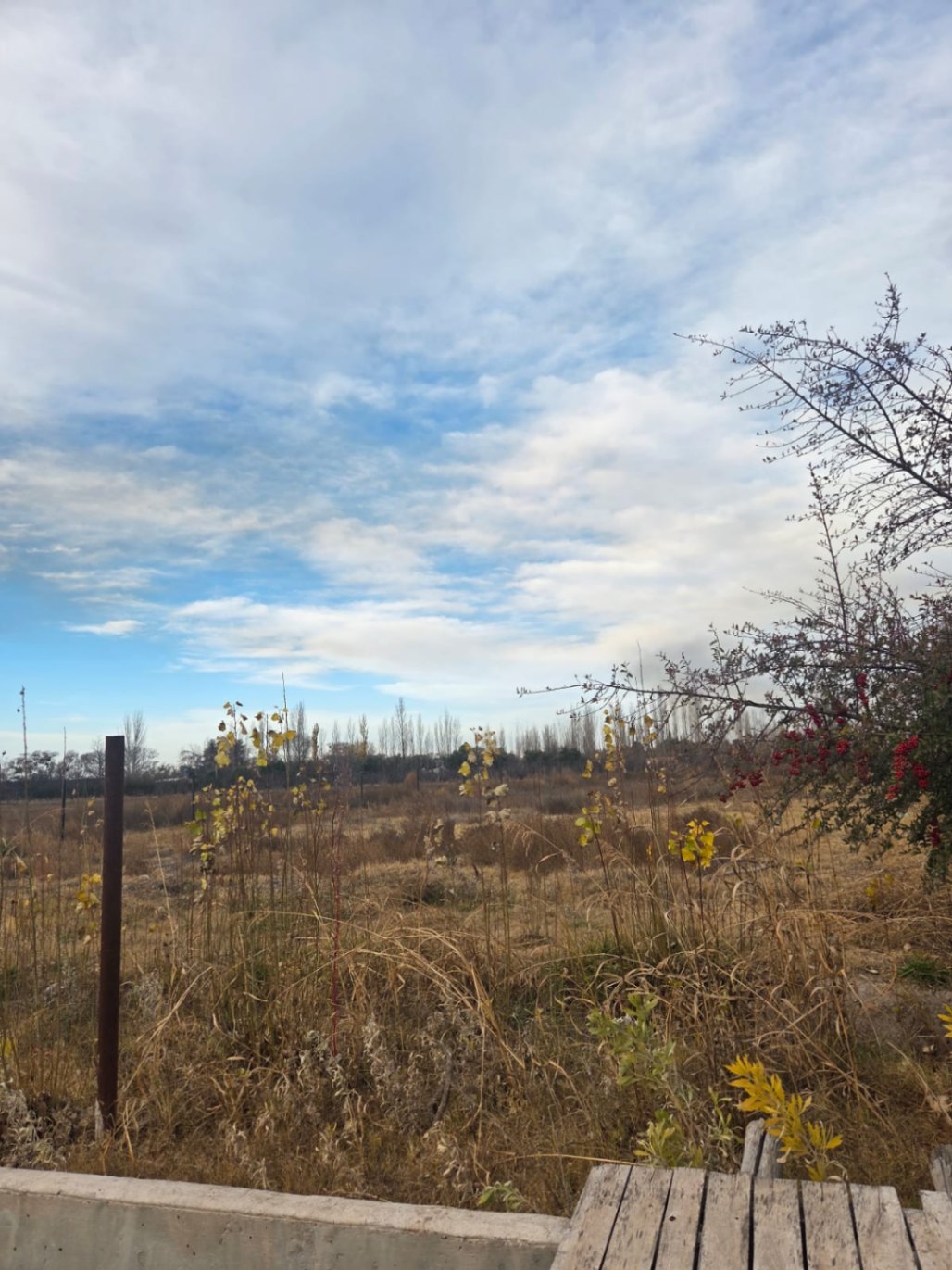 Terreno / Lote en venta de 2500m2 ubicado en Rama Caída - foto 4