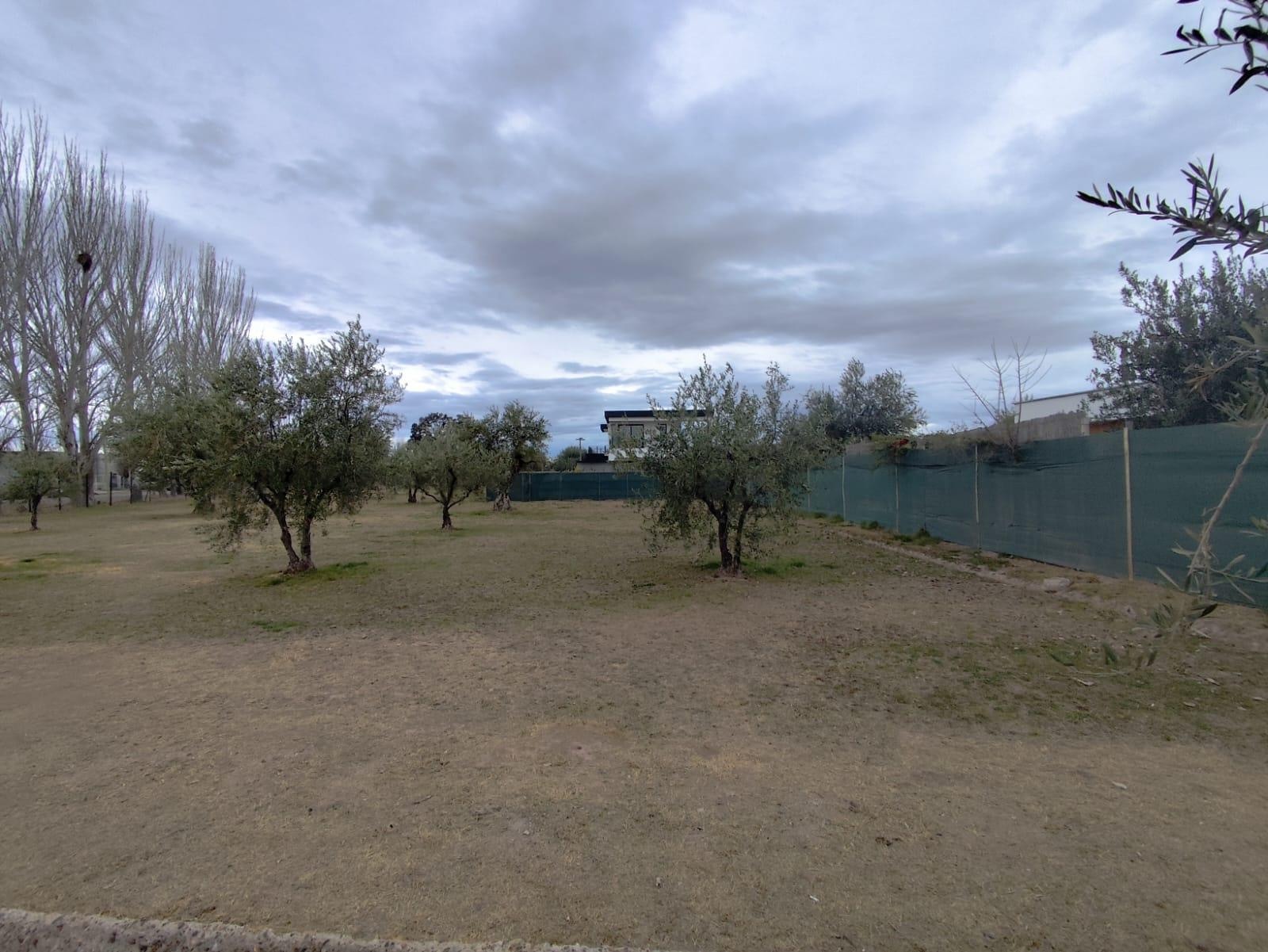 Terreno / Lote en venta de 500m2 ubicado en Lunlunta - foto 2