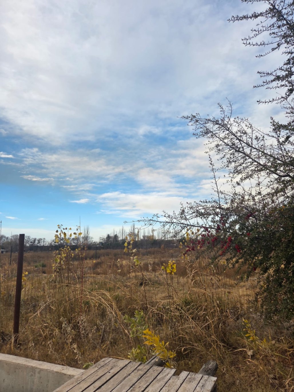 Terreno / Lote en venta de 2500m2 ubicado en Rama Caída - foto 3