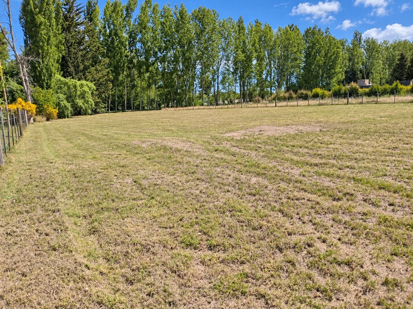 Terreno / Lote en venta de 2016.95m2 ubicado en Colonia Las Rosas - foto 3