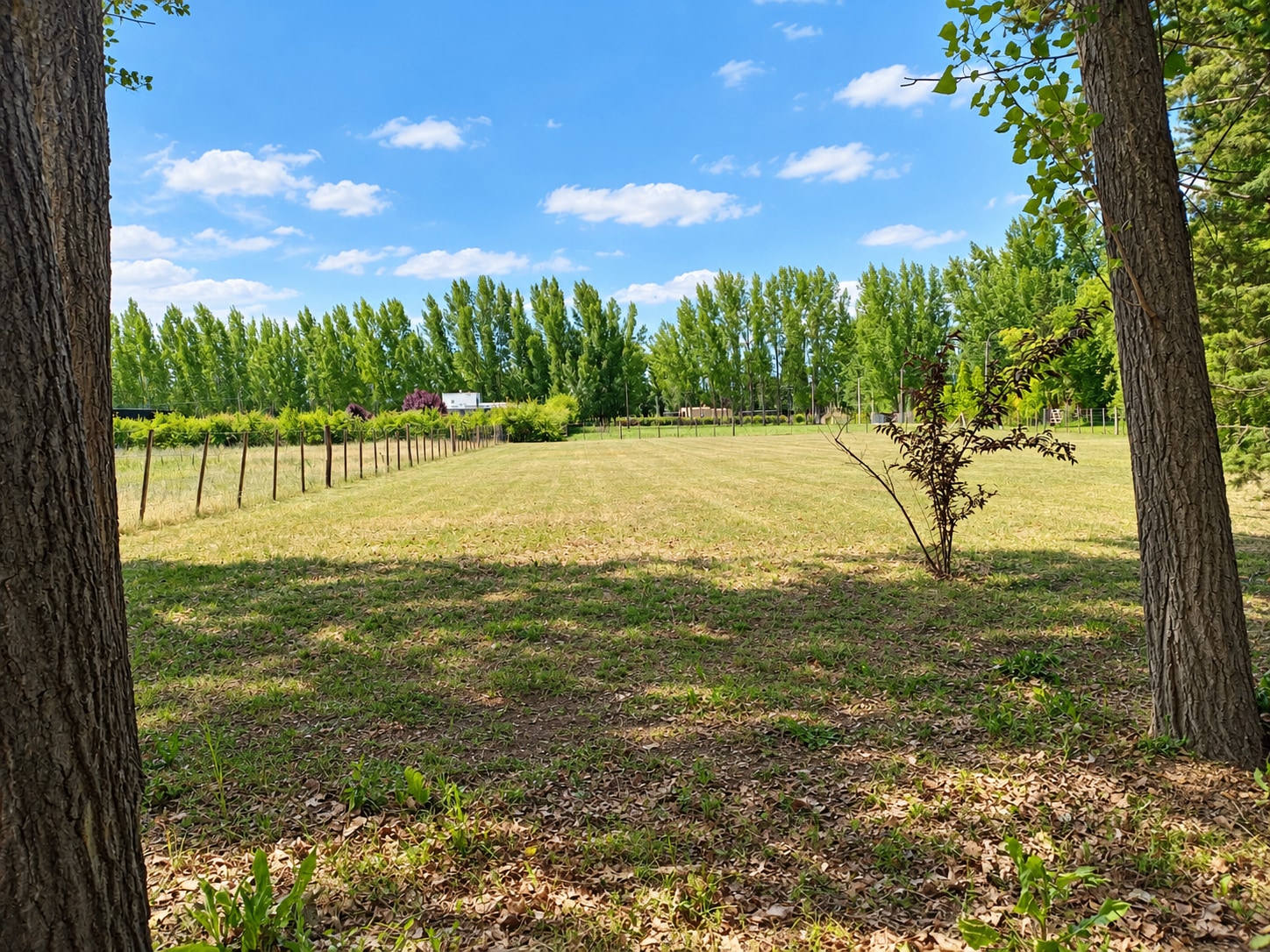 Terreno / Lote en venta de 2016.95m2 ubicado en Colonia Las Rosas - foto 5