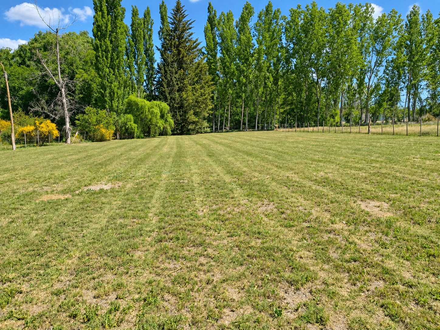 Terreno / Lote en venta de 2016.95m2 ubicado en Colonia Las Rosas - foto 4