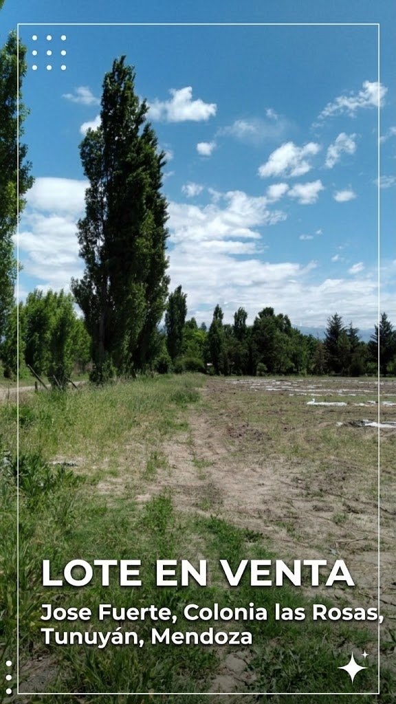 Terreno / Lote en venta de 2938.15m2 ubicado en Colonia Las Rosas - foto 1
