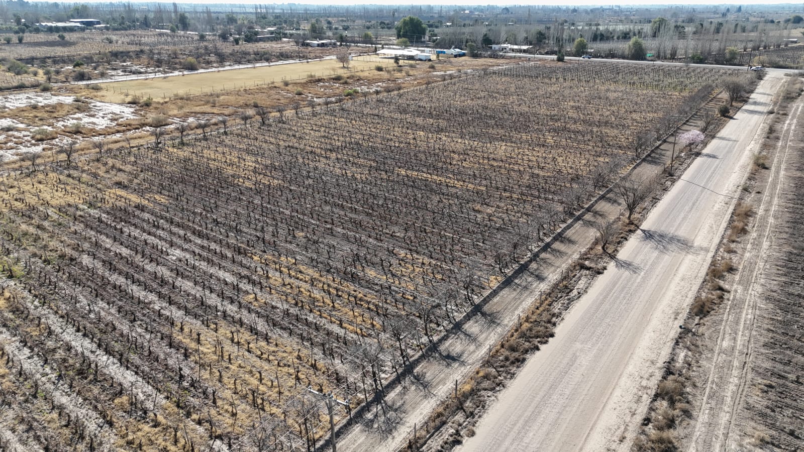 VENTA FINCA 6 HAS EN CARRIL CABALLERO, LOS BARRIALES, JUNIN - foto 4