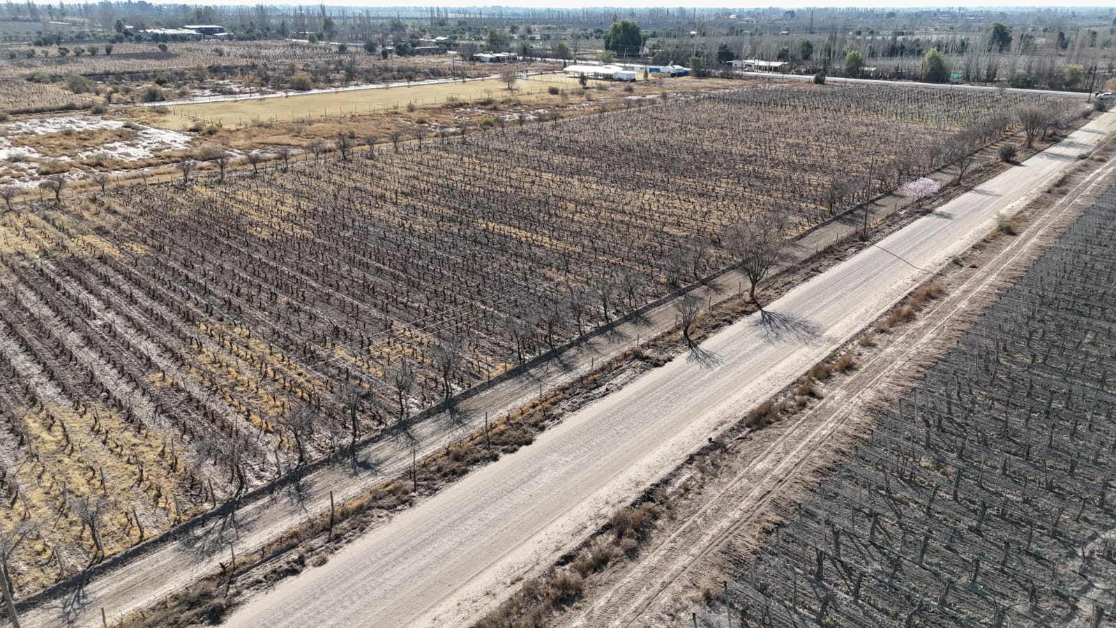 VENTA FINCA 6 HAS EN CARRIL CABALLERO, LOS BARRIALES, JUNIN - foto 5