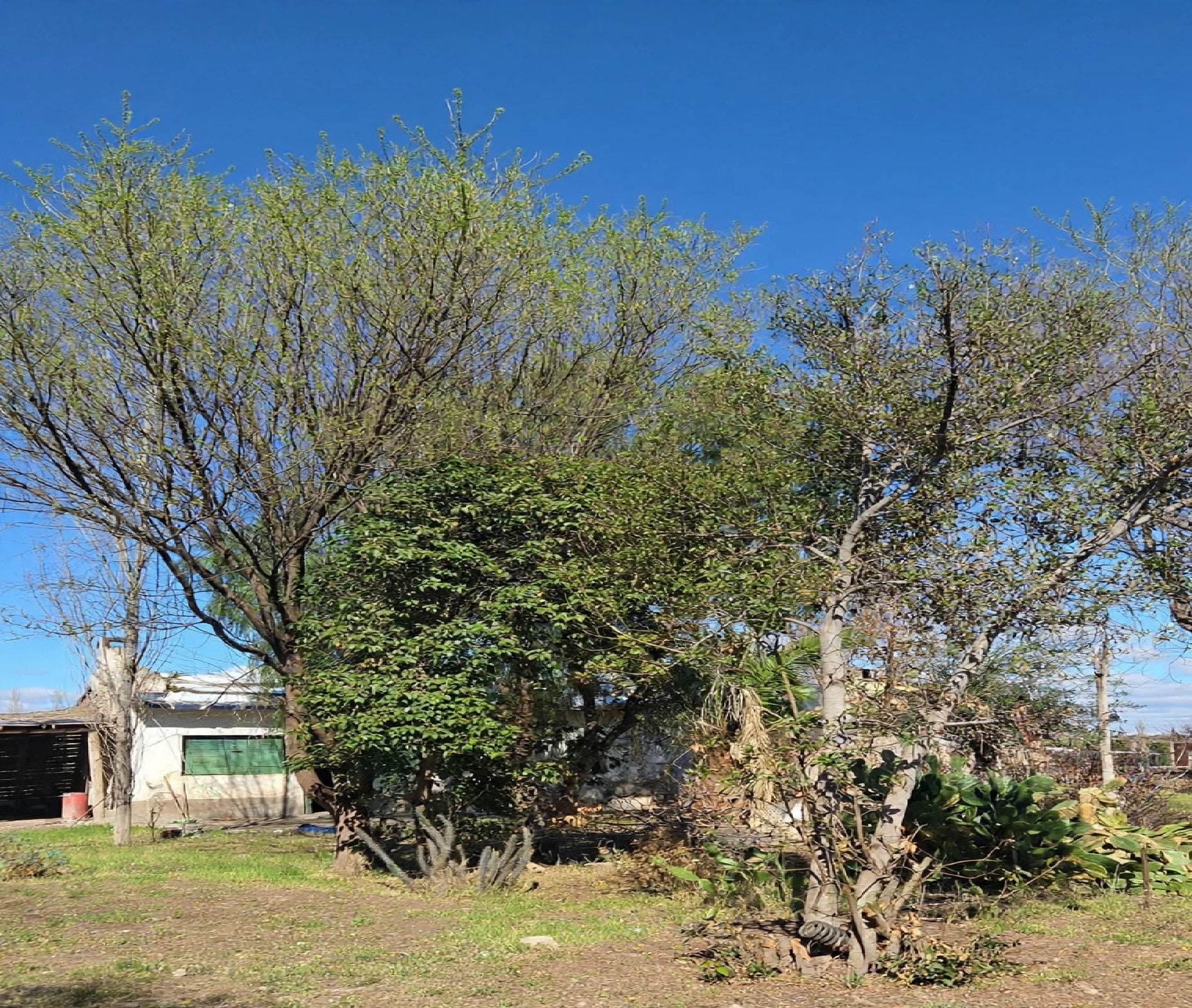 Terreno / Lote en venta de 1314m2 ubicado en San Rafael - foto 2